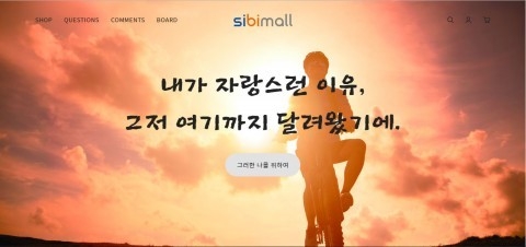 ▲ 시비몰 홈페이지