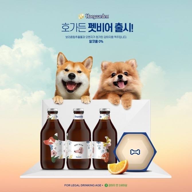 오비맥주가 국내에 전개하고 있는 벨기에 밀맥주 호가든(Hoegaarden)은<br>
맥주 브랜드 최초로 국내에 반려견을 위한 전용 무알콜 맥주 ‘펫비어’를 한정 출시한다고 16일 밝혔다.<br>
사진=호가든