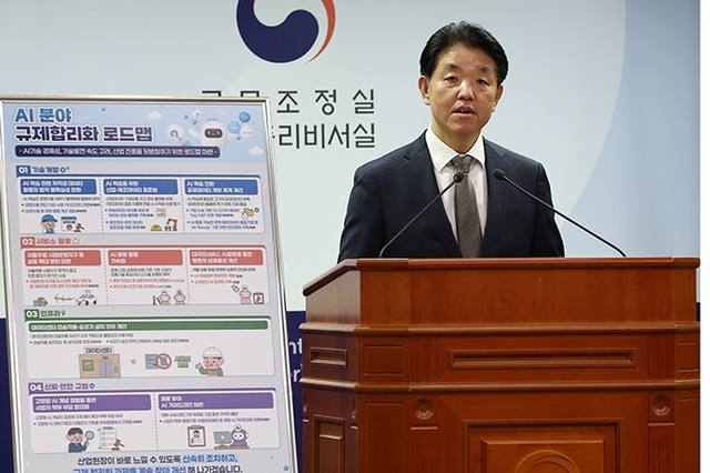 'AI 분야 규제합리화 로드맵' 내용은?
